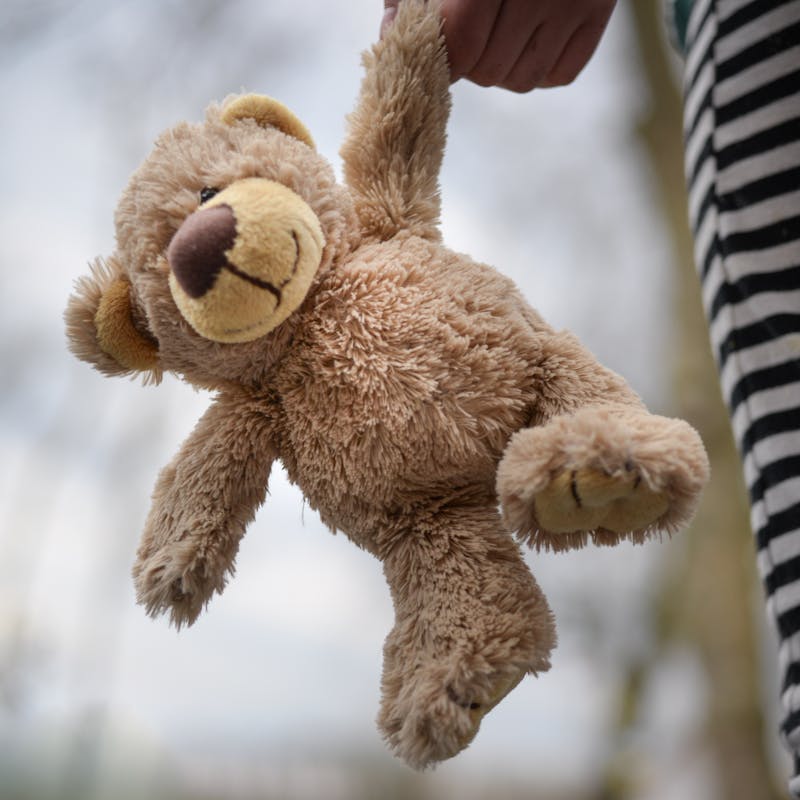 A child holds a soft teddy bear outside on a cloudy day, capturing a moment of innocent play.